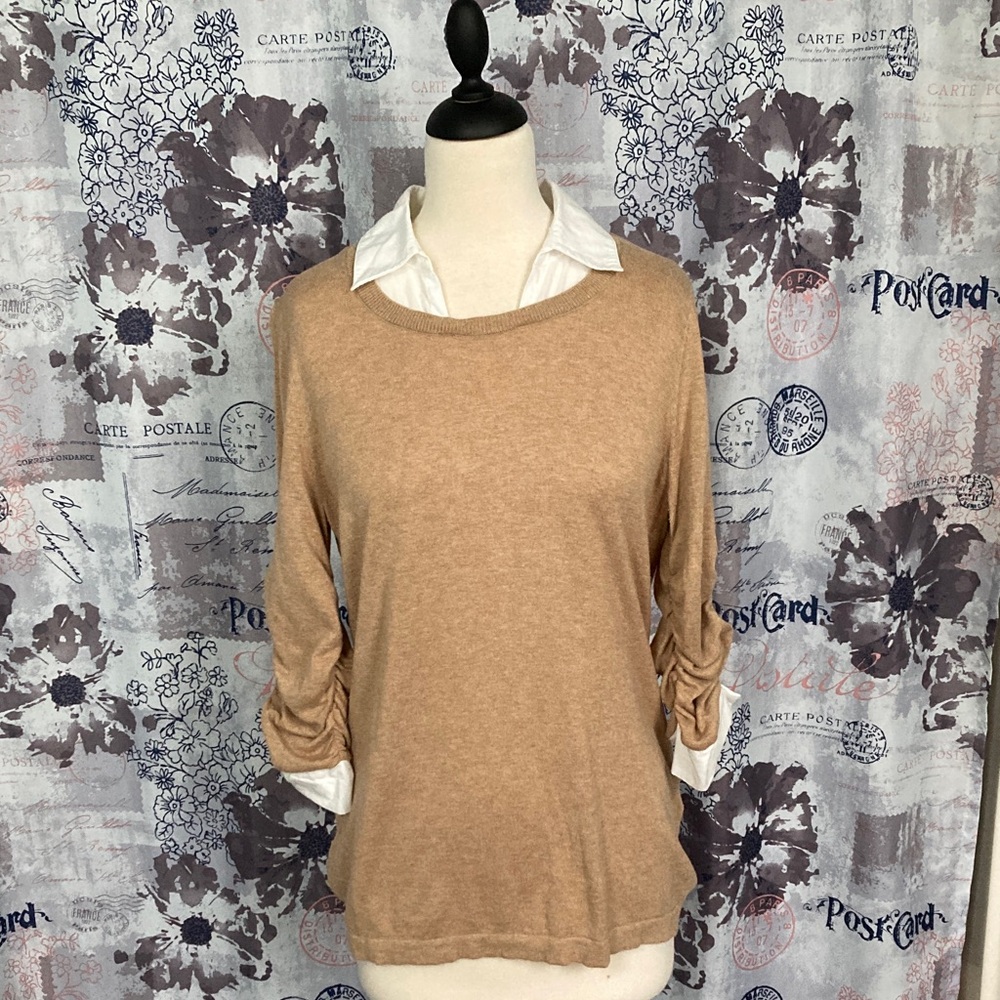 August Silk Camel Sweater with Crisp White Collar